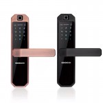Electronic Smart Door Lock with Fingerprint and Password Function